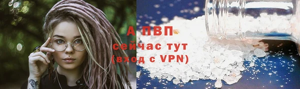 spice Сатка