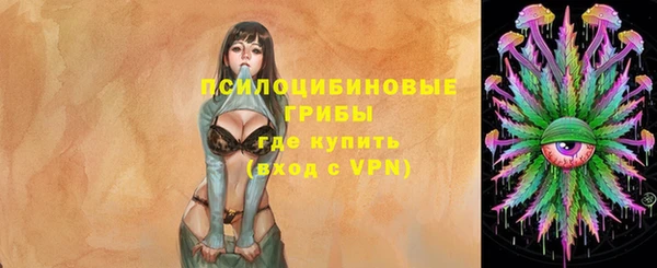 spice Сатка